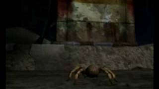 Deadly Creatures Tarantula vs rattle snake Final battle [upl. by Helbonna373]