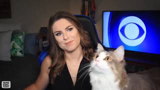 Cat interrupts CBS News Broadcast to Stare at a Fly [upl. by Annairda784]