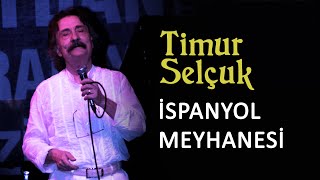 Timur Selçuk  İspanyol Meyhanesi Official Audio [upl. by Gombach]