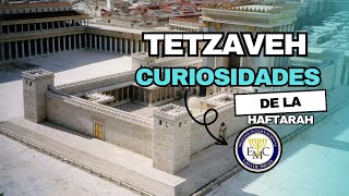 El TEMPLO celestial 📚 TETZEVEH 🕍 Curiosidades de la Haftarah 20 [upl. by Phillip]