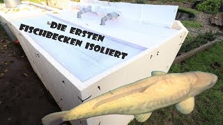 Fischbecken isolieren [upl. by Iolanthe]