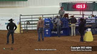 2023 Nutrena AQHA World and Adequan Select World Amateur TieDown Roping [upl. by Uaeb]