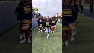 We’re not the seniors cheer cheerleading highschool [upl. by Amethist651]