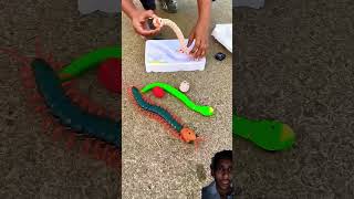 race of remote control snake [upl. by Georgianna]