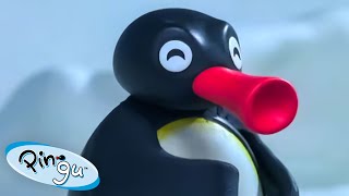 Pingu the problem solver 🐧  Pingu  Official Channel  Cartoons For Kids [upl. by Clarissa]