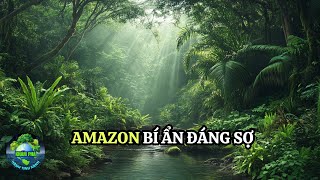 Khám phá kinh hoàng trong rừng Amazon khiến cả thế giới khiếp sợ  Phần 1 [upl. by Tades924]