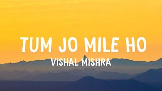 Vishal Mishra  Tum Jo Mile Ho Lyrics [upl. by Bartholomew435]