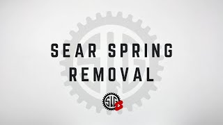 P320 SHORTCUTS SEAR SPRING REMOVAL SIMPLIFIED METHOD [upl. by Aihsei]