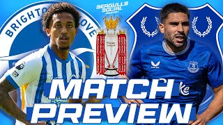 MATCH PREVIEW Everton vs Brighton [upl. by Ketty557]