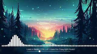 Lost in Beats Chill Lofi Vibes No Copyright Music [upl. by Anitsrhc]