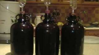 How to Make Wine from Grapes at Home [upl. by Birdie]