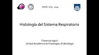 Sistema Respiratorio [upl. by Paucker]