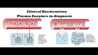 Clinical Biochemistry Plasma enzymes in diagnosis [upl. by Nnaid]