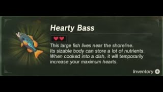 Hearty Bass  Farming Location 1  Zelda BOTW [upl. by Phio]