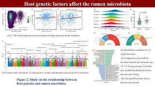 iMeta  Genome and transcriptome to uncover the host–microbiome interactions in rumen methanogenesis [upl. by Fridlund]