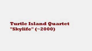 Turtle Island Quartet  Skylife [upl. by Naiva]