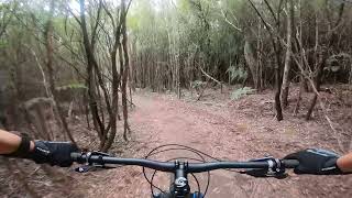 Bluetopia  Wild Mersey  Sheffield Tasmania MTB [upl. by Emie]