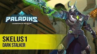 Skelus1 ANDROXUS PALADINS PRO COMPETITIVE GAMEPLAY l DARK STALKER [upl. by Covell786]