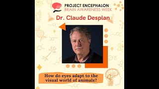 How do eyes adapt to the visual world of animals  Dr Claude Desplan [upl. by Lester]