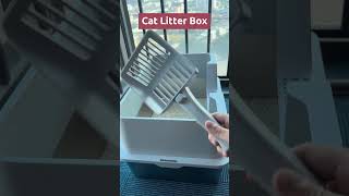 Discover these clever tips for litter box maintenance and enjoy a fragrant home [upl. by Yrekcaz]