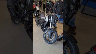 Dominar 250 bajaj dominar 250 shorts [upl. by Kathrine]