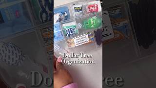 Dollar Tree Organization Hacks 🤩 dollartree organization girlstrip bachelorette momlife tips [upl. by Akinehc]