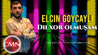 Elçin Göyçaylı  Dilxor Olmuşam 2021 Official Audio [upl. by Naig]