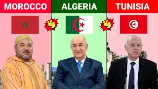 Morocco Vs Algeria Vs Tunisia  Muslim Country Comparison 2023  Versus Kingdom [upl. by Ycniuqal735]