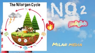 Nitrogen cycle in simple terms  rhizobium nitrification bacteria  Tamil  Milan media [upl. by Anson]