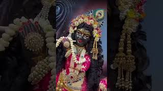 radhakrishna radharani trending shorts varsana ytshorts [upl. by Alletsyrc]