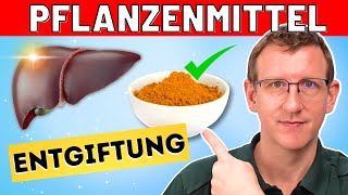 Leberentgiftung  die 3 besten Pflanzenheilmittel [upl. by Cahra]