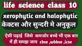 Adaptation  morphological adaptation in cactus  halophytic adaptation in sundari plant [upl. by Aisyram455]