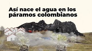 Así nace el agua en los páramos colombianos  Especiales RCN Radio [upl. by Brennan]