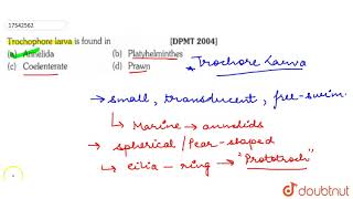 Trochophore larva is found in  11  ANIMAL KINGDOM  BIOLOGY  ERRORLESS  Doubtnut [upl. by Enyleuqcaj]