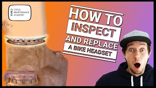 How to inspect a bike headset and replace it if its worn or damaged [upl. by Nickey]