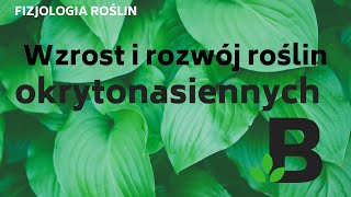 Wzrost i rozwój roślin okrytonasiennych  FIZJOLOGIA roślin  KOREPETYCJE z BIOLOGII  277 [upl. by Moht684]