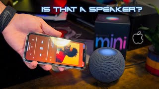 HomePod Mini Review Is It Worth It IN 2024 [upl. by Editha]