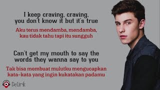 Imagination  Shawn Mendes Lyrics video dan terjemahan [upl. by Kacey]