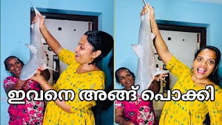 കോളടിച്ചു മക്കളെ കോളടിച്ചുവിളിച്ചപ്പോൾ ഓടിപ്പോയത് വെറുതെ ആയില്ല 😳❤️sharksravusea fish [upl. by Girvin]