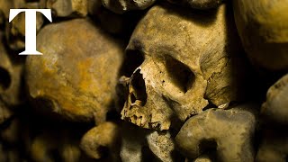 Paris Catacombs The Eerie Underground World of the French Capital  Times Travel [upl. by Joice596]