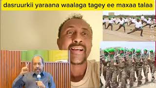 tolkeey ma oga dasruurkii waa la laaley soomaali waa kala tagtey ee maxaa habargidir U talo ah [upl. by Ellita]