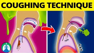 Stop Constant Throat Clearing Understanding the 3 Causes of Phlegm in Your Throat [upl. by Nwadal458]