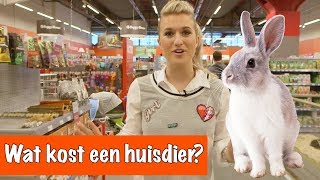 Wat kost een huisdier  DierenpraatTV [upl. by Aissila323]