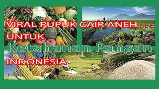 PETANI PADI DI SEKITAR DESA SITUSARI MENDENGAR TENTANG PENGUNAAN PUPUK ORGANIK KANCA TANI petani [upl. by Anoyk]