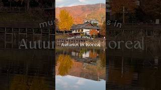 Must visit cafes in autumn in Korea 🤎 autumn korea cafe korean coffee 커피 카페 가을 단풍 [upl. by Jaymie]