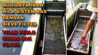 MEMBERSIHKAN SIEVE FILTER KOLAM NILA DENGAN MUDAH DAN CEPAT  TIDAK BIKIN CAPEK [upl. by Idnym]