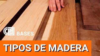 Tipos de madera Qué madera usar Qué diferencia hay entre pino y encino  BASES de la Carpinteria [upl. by Attikin]