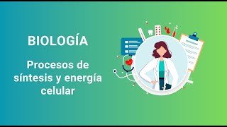 6 Procesos de síntesis y energía celular [upl. by Naujtna]