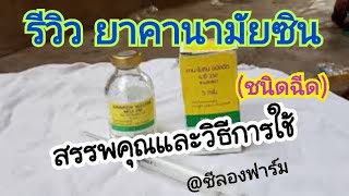 สรรพคุณของยาคานามัยซิน ชนิดฉีด KANAMYCIN  by ชีลองฟาร์ม [upl. by Philis]