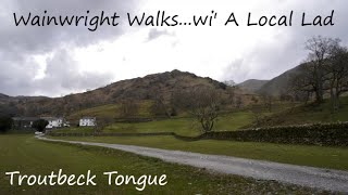 Wainwright Walkswi A Local Lad Troutbeck Tongue [upl. by Alegnad]